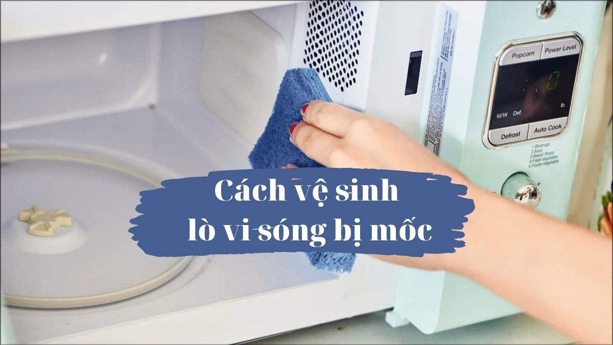 Cách vệ sinh lò vi sóng bị mốc