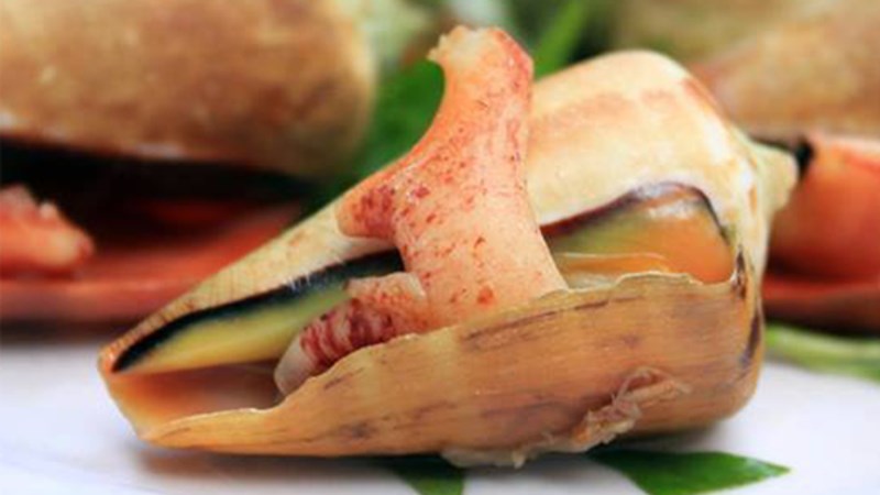 Giá ốc nhảy là bao nhiêu và mua ở đâu