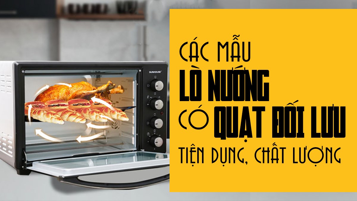 Lò nướng có quạt đối lưu