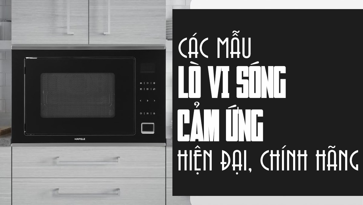 Lò vi sóng cảm ứng