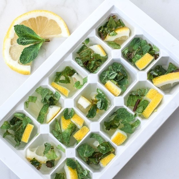 Công dụng của khay đá tủ lạnh