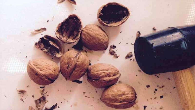 Đập hạt &oacute;c ch&oacute; bằng ch&agrave;y