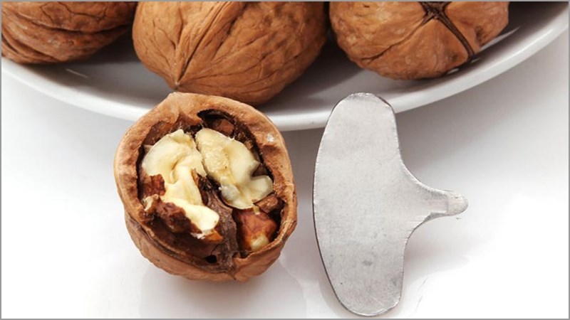 T&aacute;ch hạt &oacute;c ch&oacute; bằng m&oacute;c kh&oacute;a chuy&ecirc;n dụng