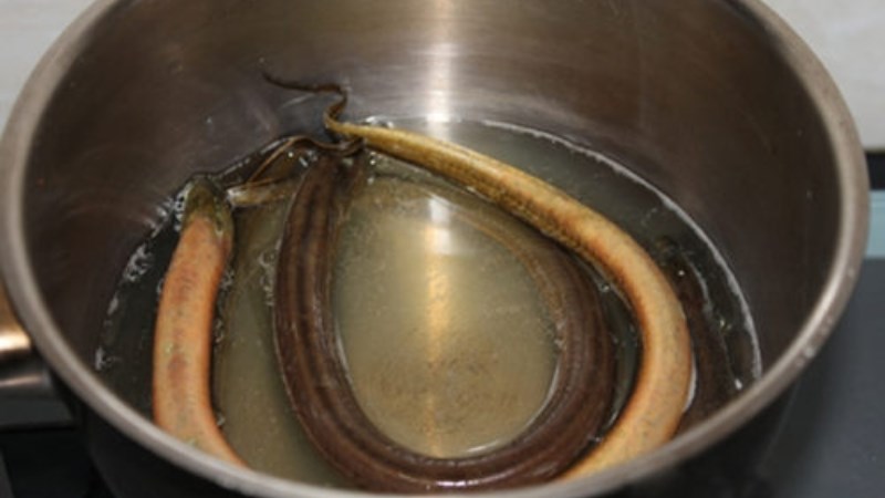 Dùng nước &acirc;́m làm sạch nhớt lươn