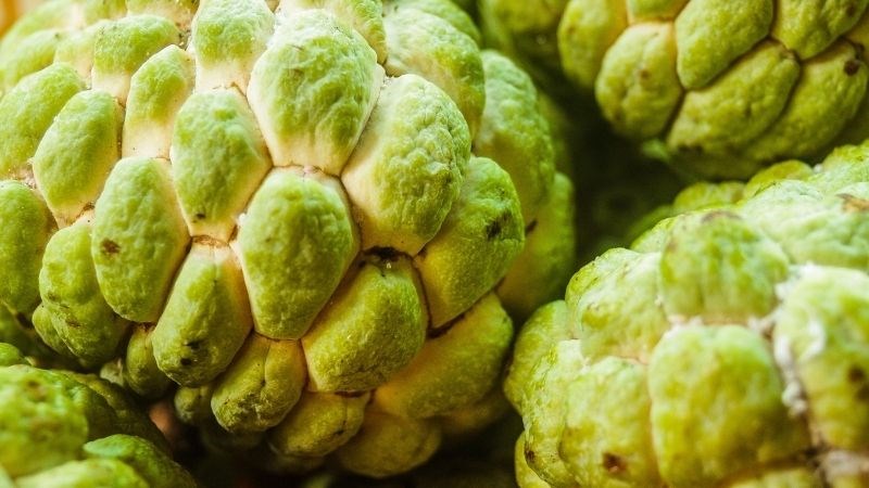 Cách bảo quản na