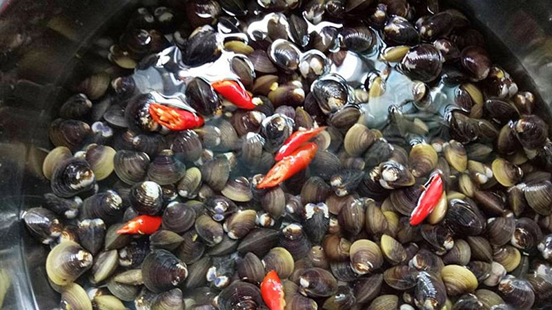 C&aacute;ch l&agrave;m hến sạch c&aacute;t, bụi bẩn