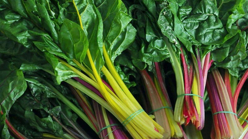 C&aacute;ch chọn mua cải cầu vồng