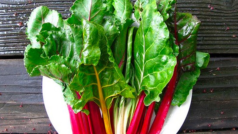 C&aacute;ch bảo quản cải cầu vồng 