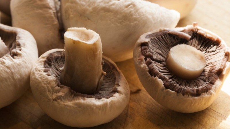 Kh&ocirc;ng n&ecirc;n h&acirc;m n&oacute;ng nấm trong l&ograve; vi s&oacute;ng