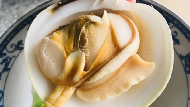 S&ograve; bơ l&agrave; con g&igrave;?