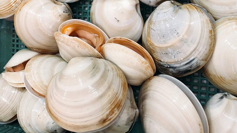 S&ograve; bơ bao nhi&ecirc;u 1kg v&agrave; mua ở đ&acirc;u?