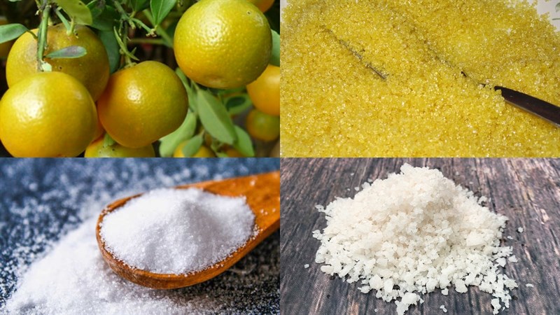 Nguyên liệu món ăn tắc xí muội