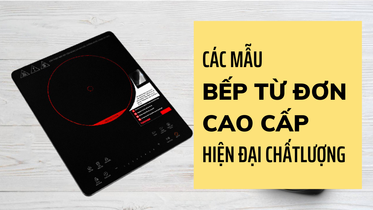 Bếp từ đơn cao cấp