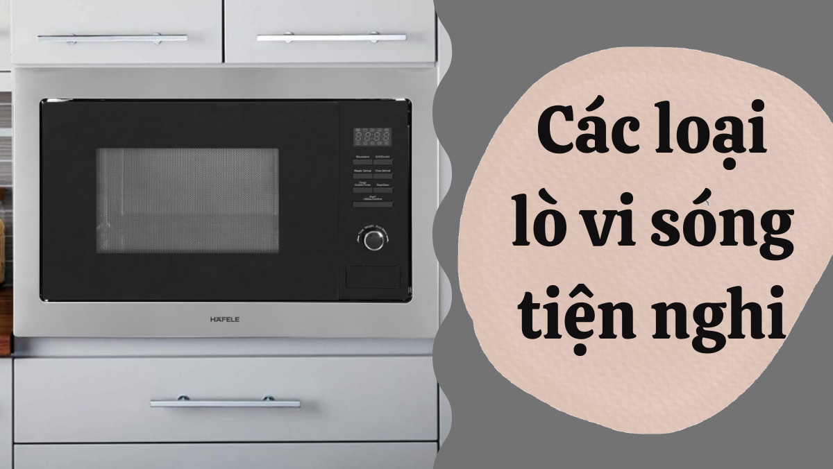 Các loại lò vi sóng tiện nghi