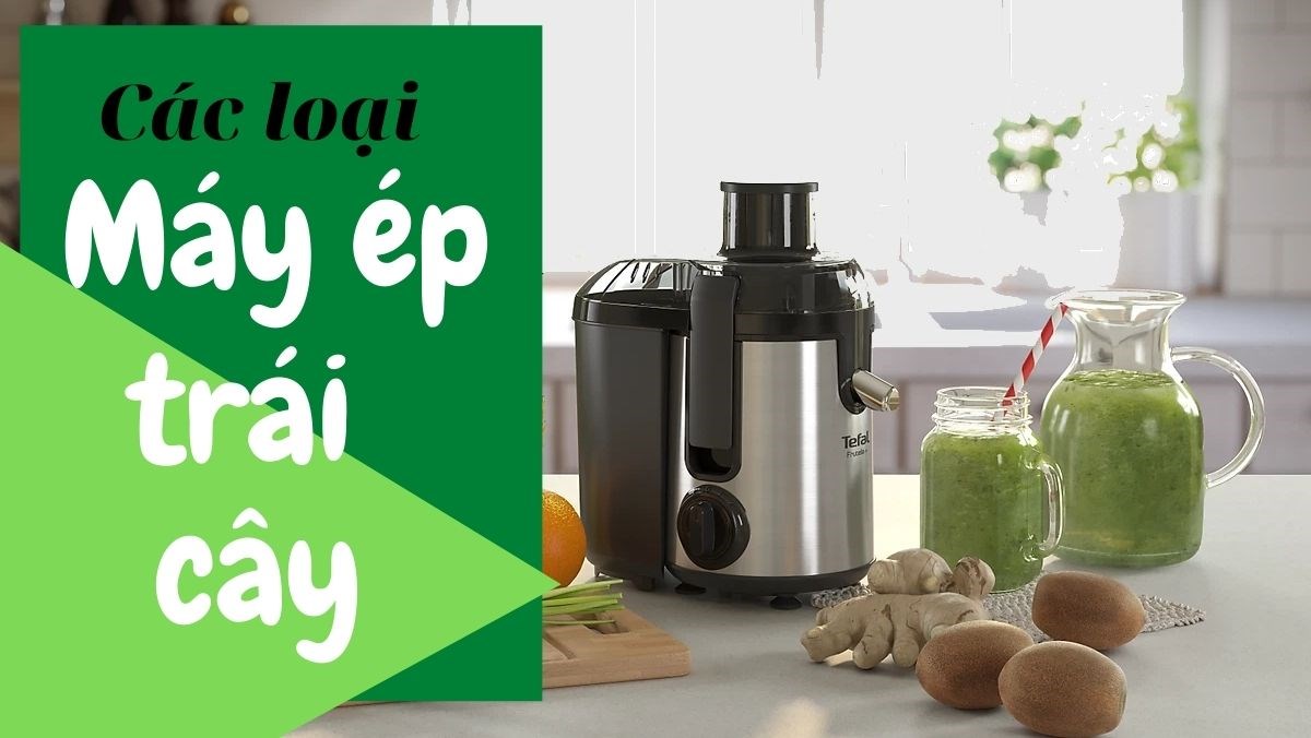 Các loại máy ép trái cây