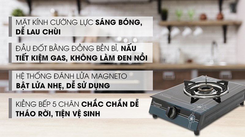 Bếp ga đơn Duxton DG-250