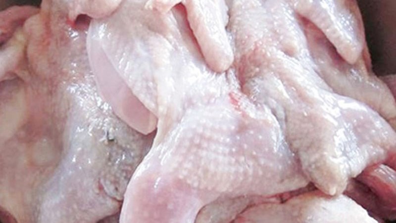 C&aacute;ch sơ chế chim c&uacute;t nhanh ch&oacute;ng loại bỏ m&ugrave;i h&ocirc;i tanh