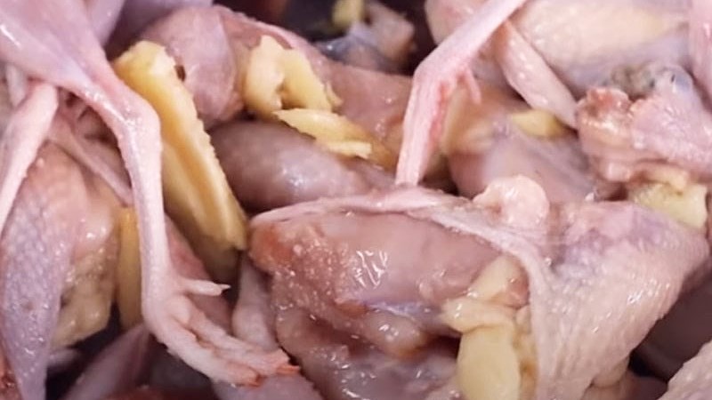 C&aacute;ch sơ chế chim c&uacute;t nhanh ch&oacute;ng loại bỏ m&ugrave;i h&ocirc;i tanh