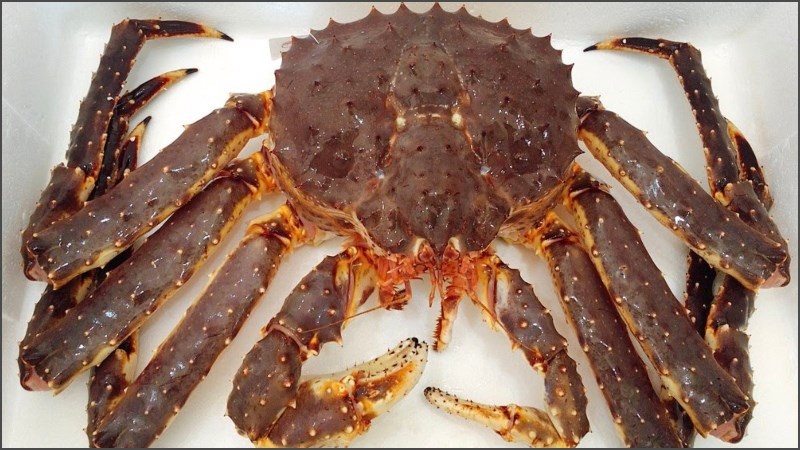 C&aacute;ch chọn mua cua ho&agrave;ng đế tươi ngon, chất lượng