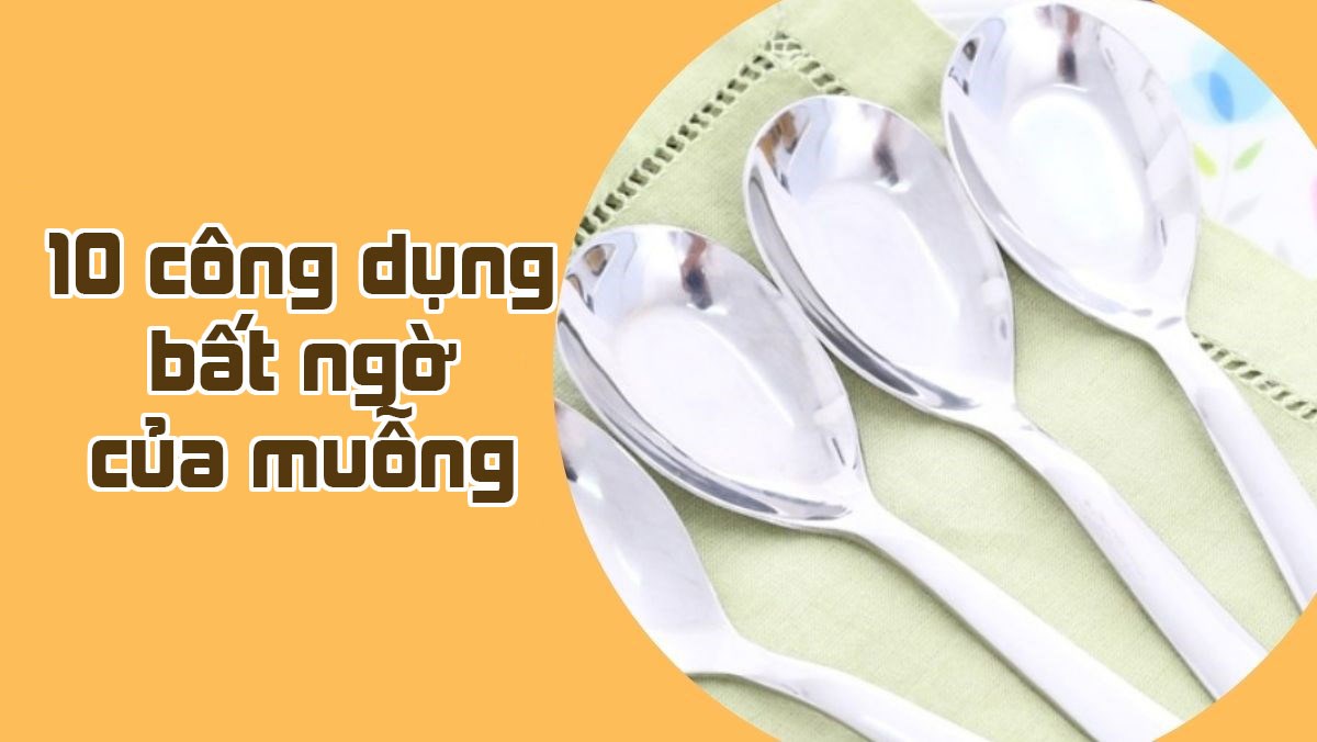 Công dụng của muỗng