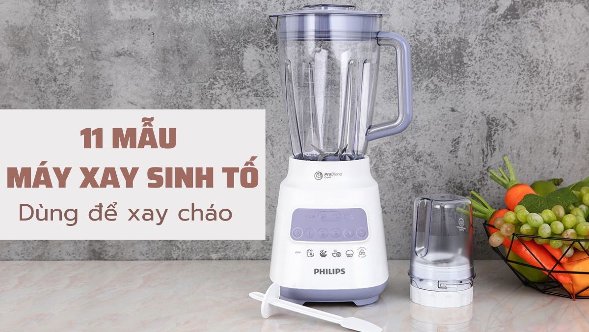 Có nên xay cháo bằng máy xay sinh tố? 11 mẫu máy xay sinh tố …