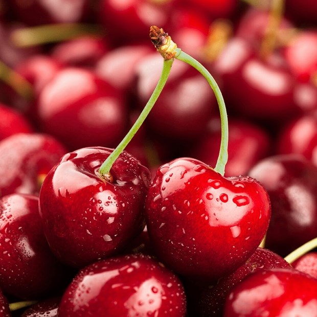 Ăn quả cherry để cải thiện từ thể chất đến tinh thần
