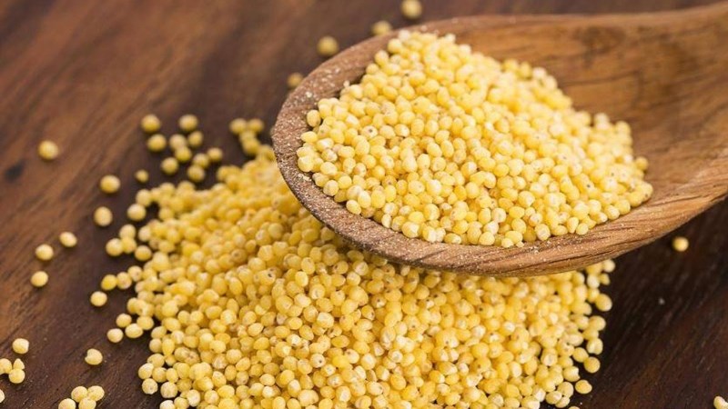 C&aacute;ch chọn mua hạt k&ecirc; tươi ngon, chất lượng