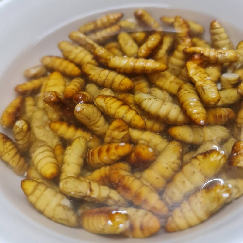 Bước 1 Sơ chế nguyên liệu Nhộng rang lá chanh