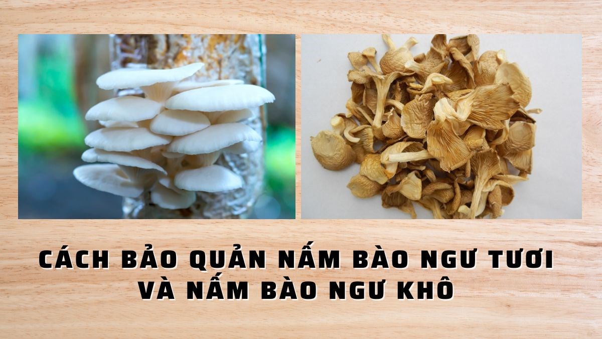 Cách Bảo Quản Nấm Sò Hiệu Quả Tại Nhà - Bí Quyết Đơn Giản Và Tiện Lợi