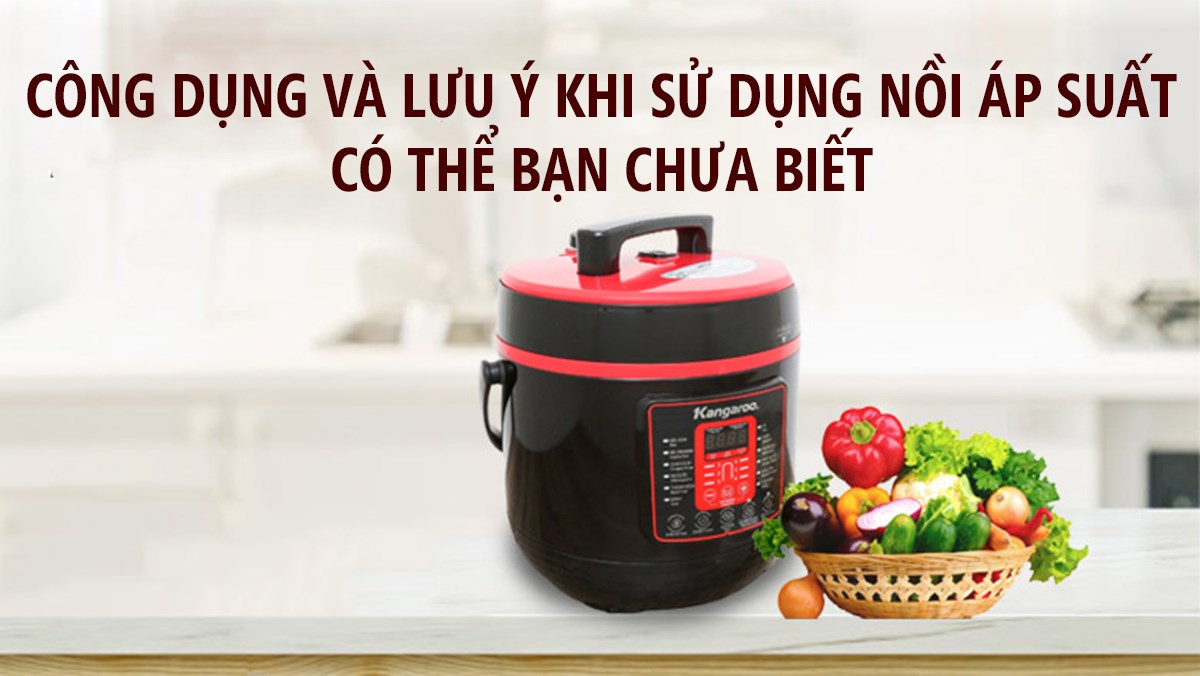 2 công dụng và những lưu ý khi sử dụng nồi áp suất