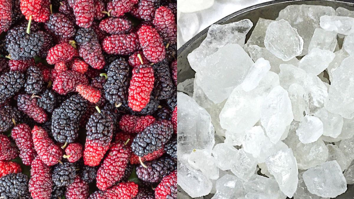 Nguyên liệu món ăn 3 cách làm siro dâu tằm và siro thanh long