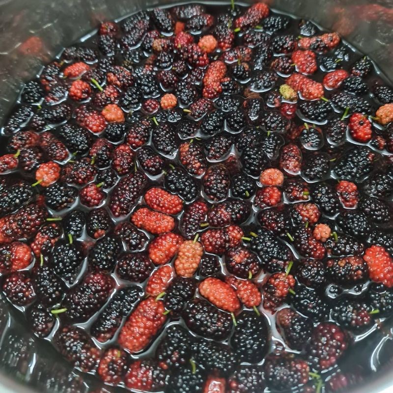 Bước 2 Chần dâu tằm Siro dâu tằm đường phèn