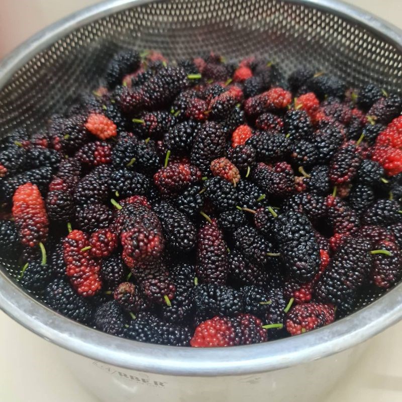 Bước 2 Chần dâu tằm Siro dâu tằm đường phèn