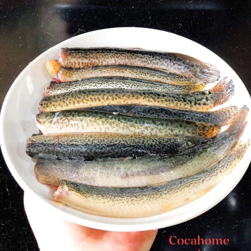 Bước 1 Sơ chế cá chạch Cá chạch kho mật mía