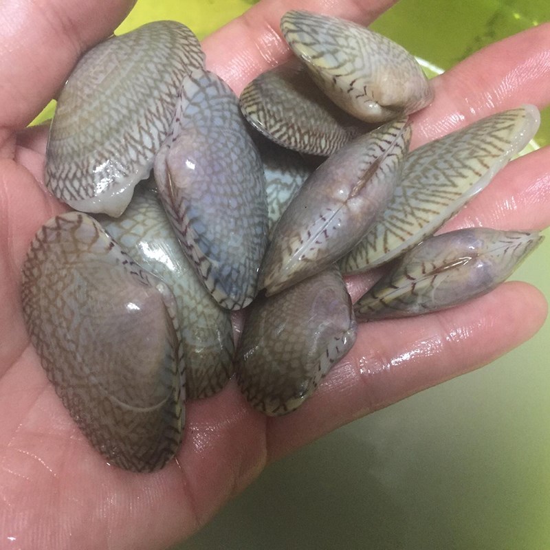 Bước 1 Sơ chế nguyên liệu Sò lụa xào me