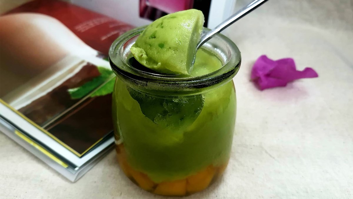 Panna cotta bơ xoài
