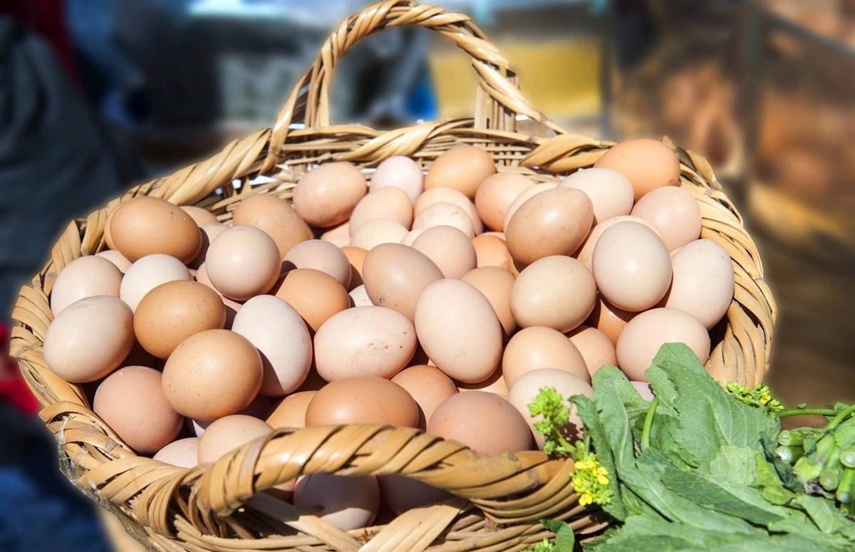 Trứng tươi cho ra kem trứng bông và ngon hơn