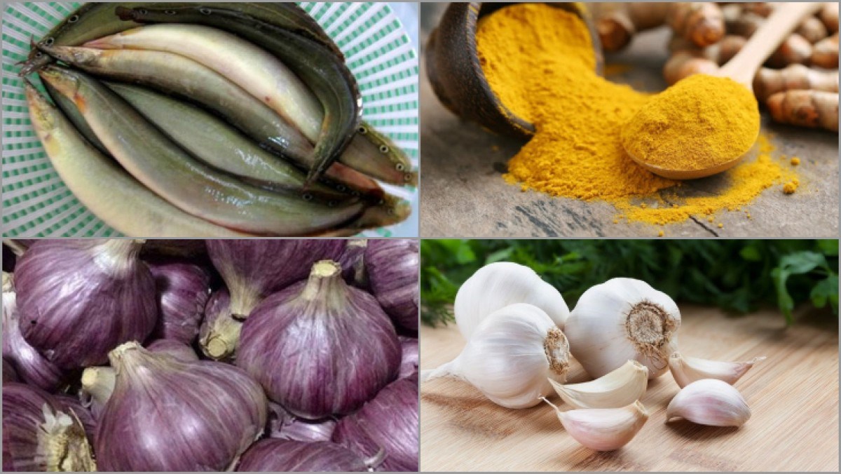 Nguyên liệu món ăn cá chạch (trạch) kho tiêu, kho nghệ