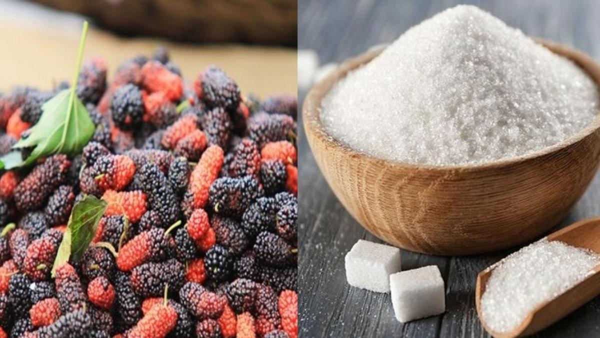 Nguyên liệu món ăn 3 cách làm siro dâu tằm và siro thanh long