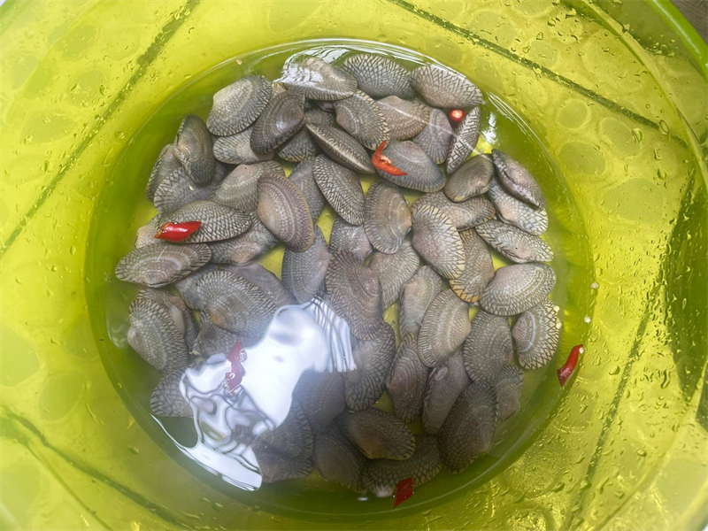 Bước 1 Sơ chế nguyên liệu Sò lụa hấp thái