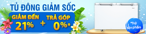 TỦ ĐÔNG GIẢM SỐC
