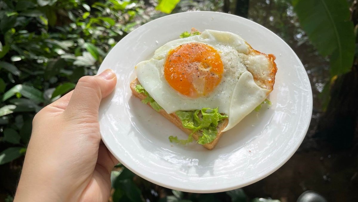 5 cách làm bánh mì sandwich kẹp trứng thơm ngon cho bữa sáng nhanh ...