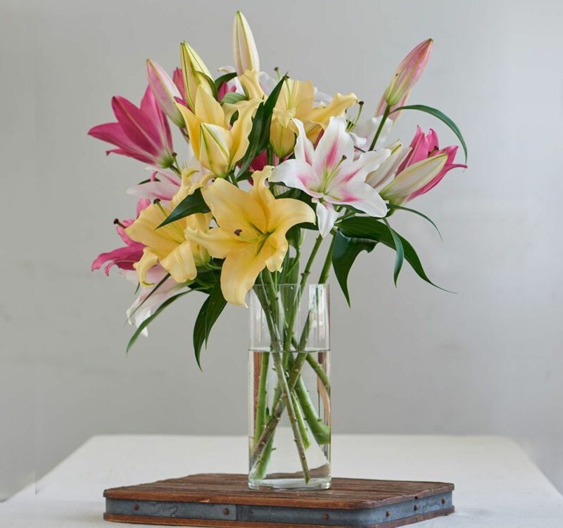 Dùng ly thủy tinh làm lọ cắm hoa