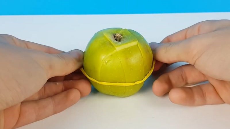 D&ugrave;ng d&acirc;y thun để cố định t&aacute;o