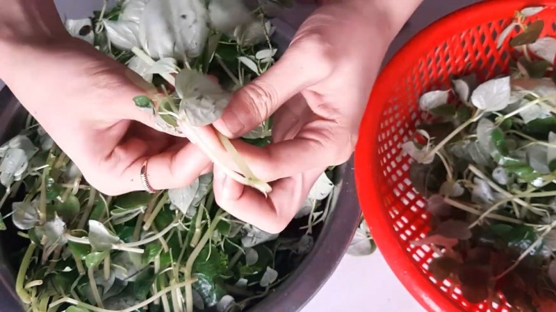 Ngắt phần th&acirc;n rau c&agrave;ng cua