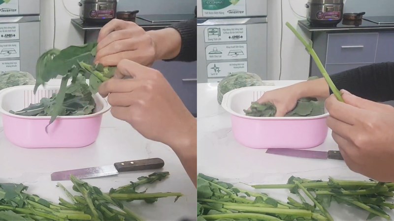 Tuốt lấy phần mặt lá của lá già