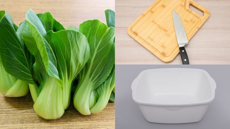 Nguy&ecirc;n liệu v&agrave; dụng cụ nhặt rau cải th&igrave;a