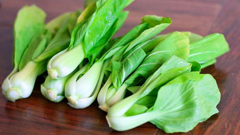 Nhặt bỏ l&aacute; cải th&igrave;a bị v&agrave;ng, bị s&acirc;u