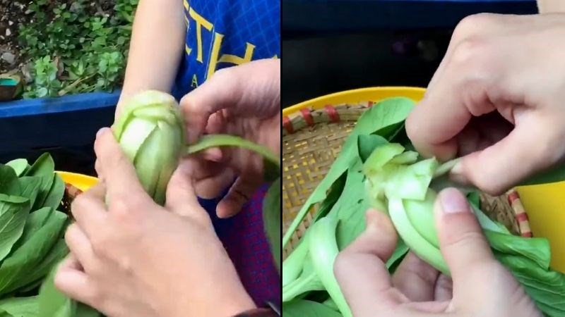 Ngắt rau cải th&igrave;a th&agrave;nh đoạn nhỏ