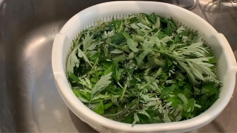 Rửa rau ngải cứu